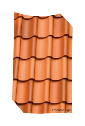 Jacobi H1 — колір фризький строкатий, сольовий випал (friesisch-bunt salzbrand)
