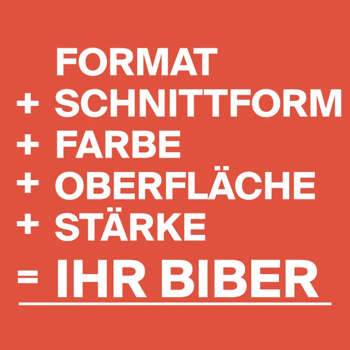 Jacobi Berliner Biber 15,5×38 — фрагмент покрівлі №2