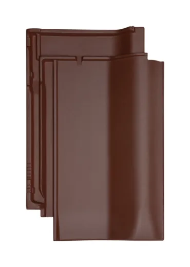 Jacobi W6v — колір мідно-коричневий