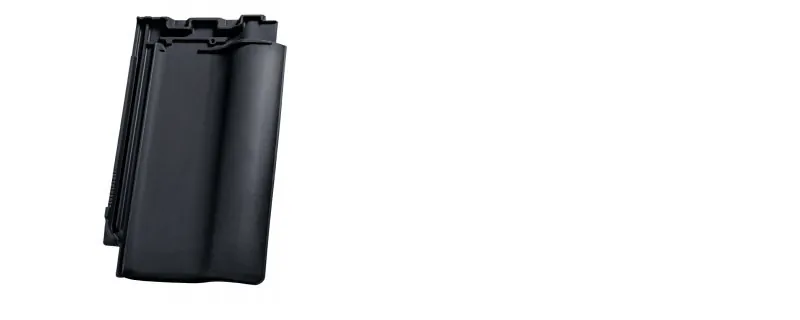 Nelskamp F 10 PRO — фрагмент покрівлі