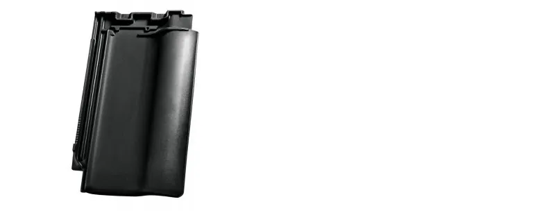 Nelskamp F 10 PRO — фрагмент покрівлі, колір чорний, едель-ангоб