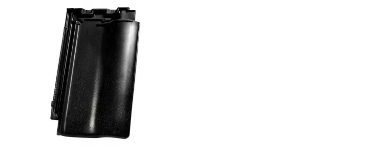 Nelskamp F 10 PRO — фрагмент покрівлі, колір старий чорний, ангоб